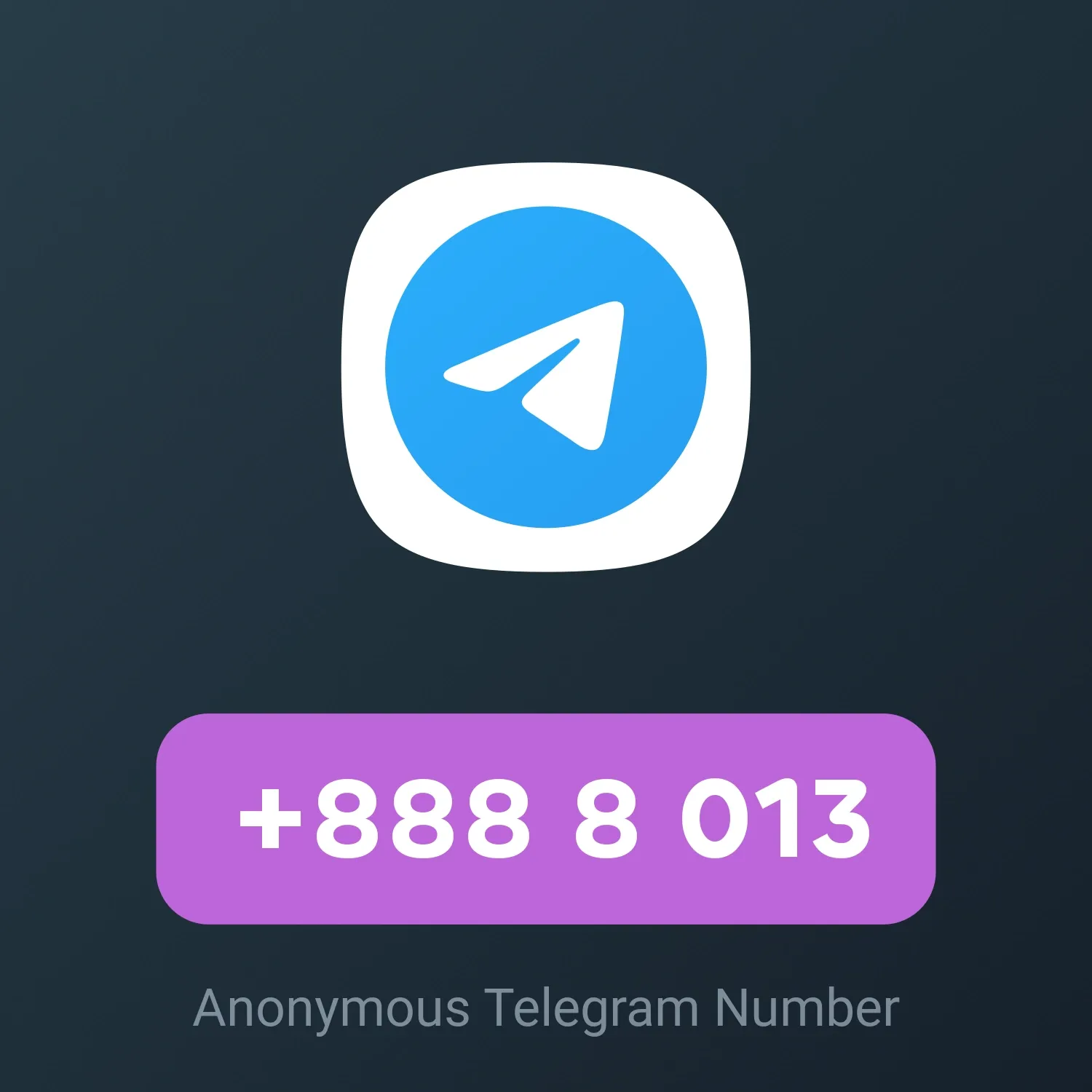 Image of NFT Item +888 8 013
