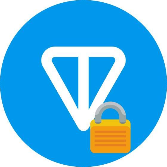 Image of NFT: Locked TON
