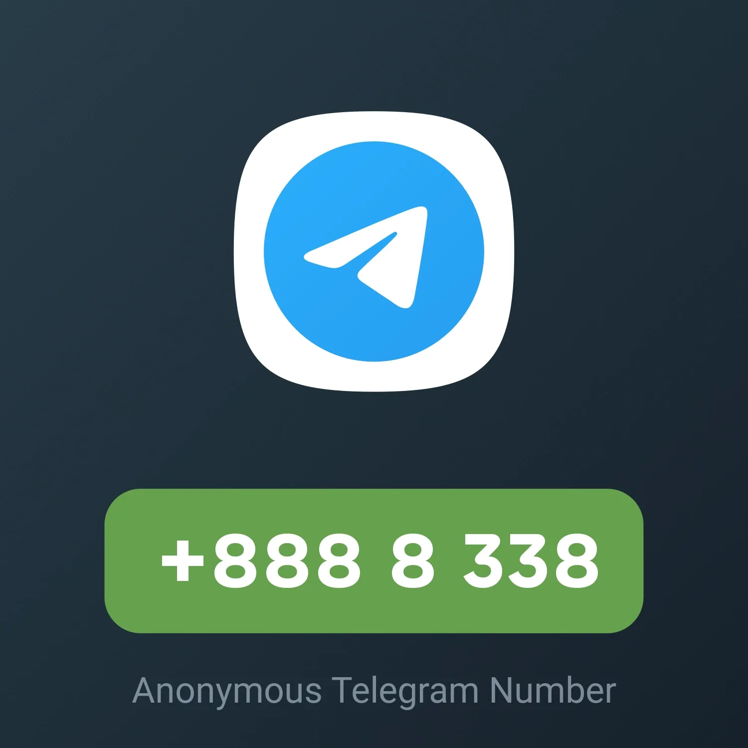 Image of +888 8 338 from Anonymous Telegram Numbers