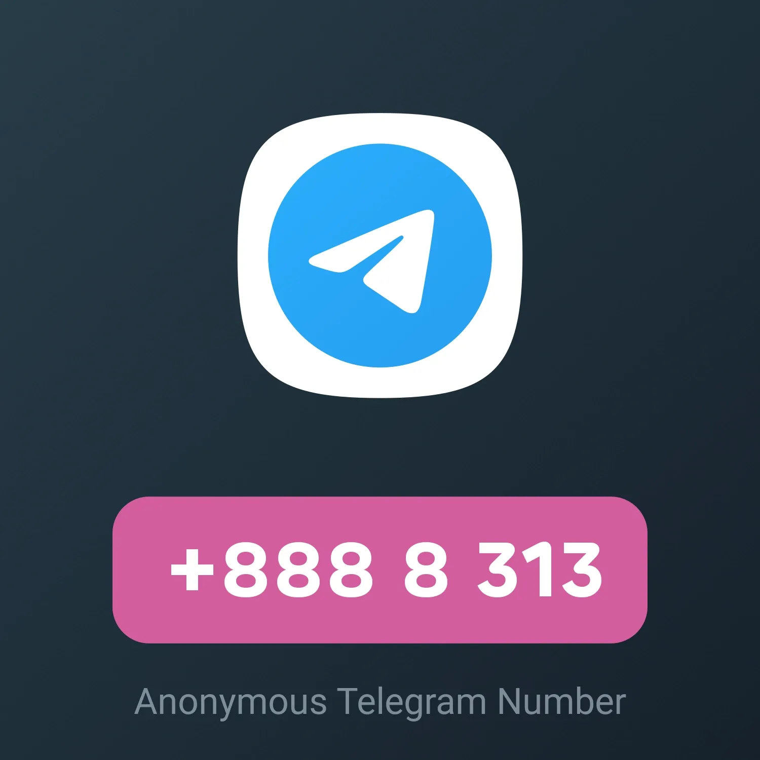 Image of NFT Item +888 8 313