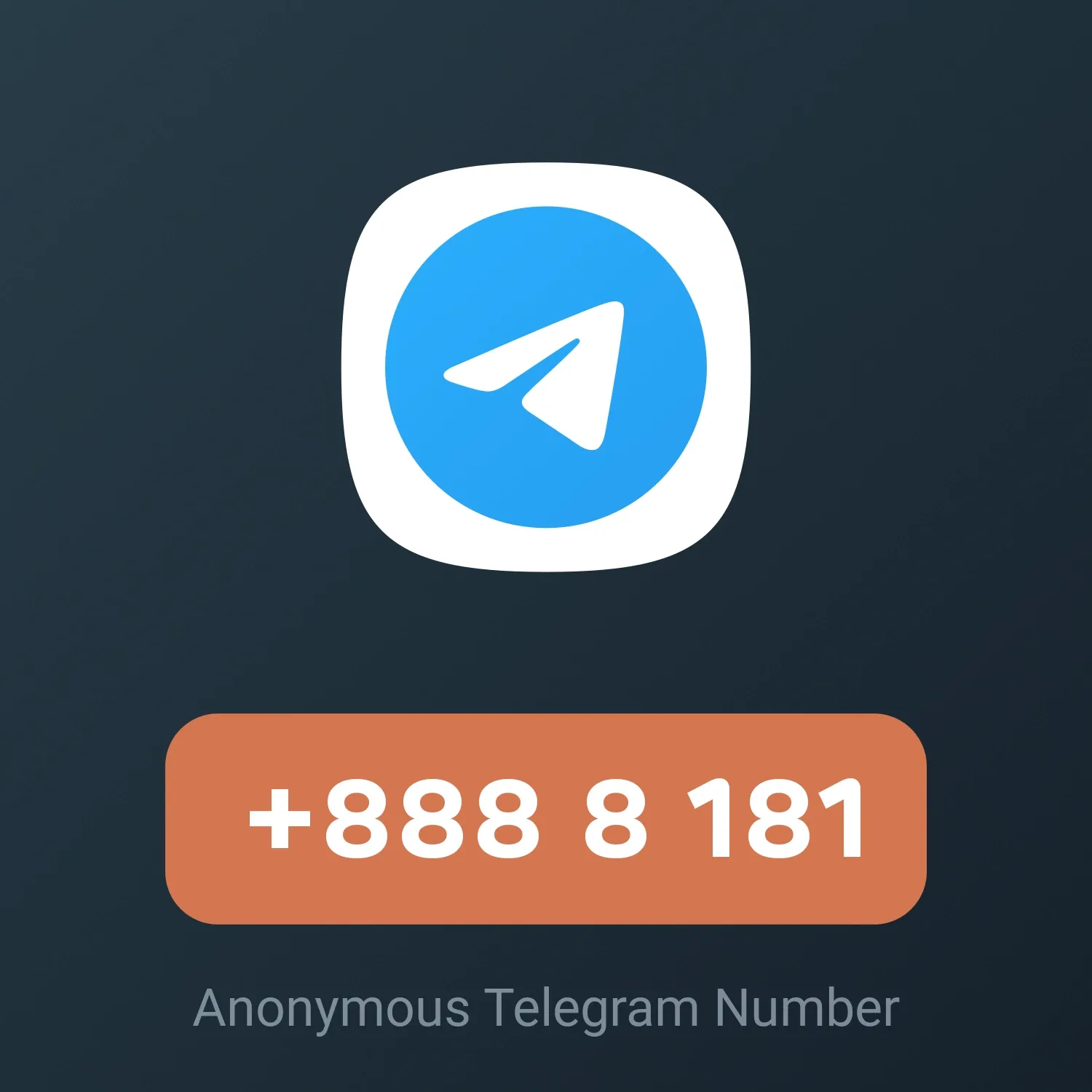 Image of NFT Item +888 8 181