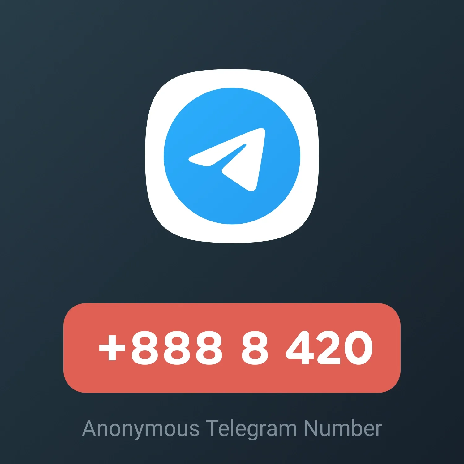Image of +888 8 420 from Anonymous Telegram Numbers