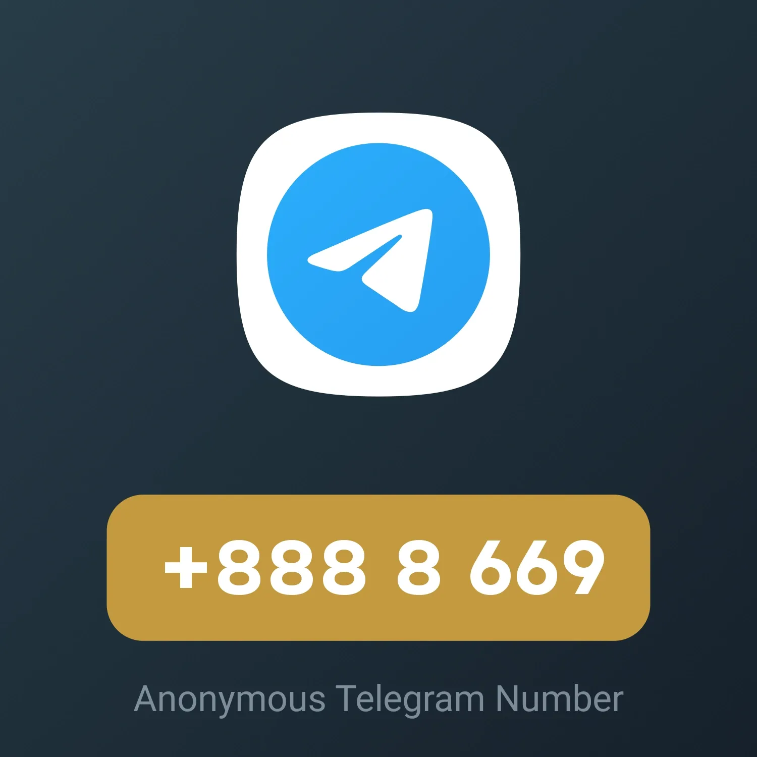 Image of NFT Item +888 8 669