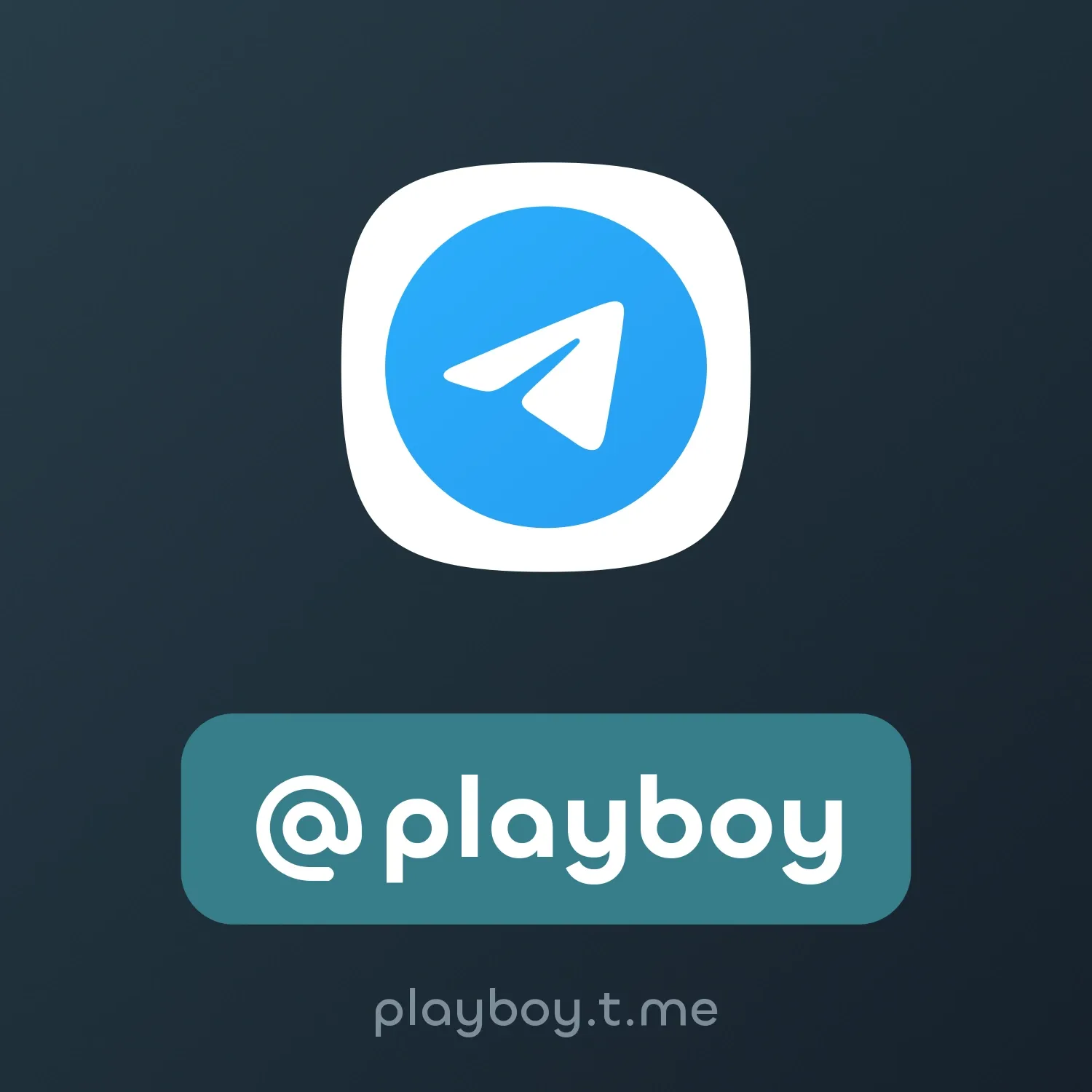 Image of NFT Item @playboy