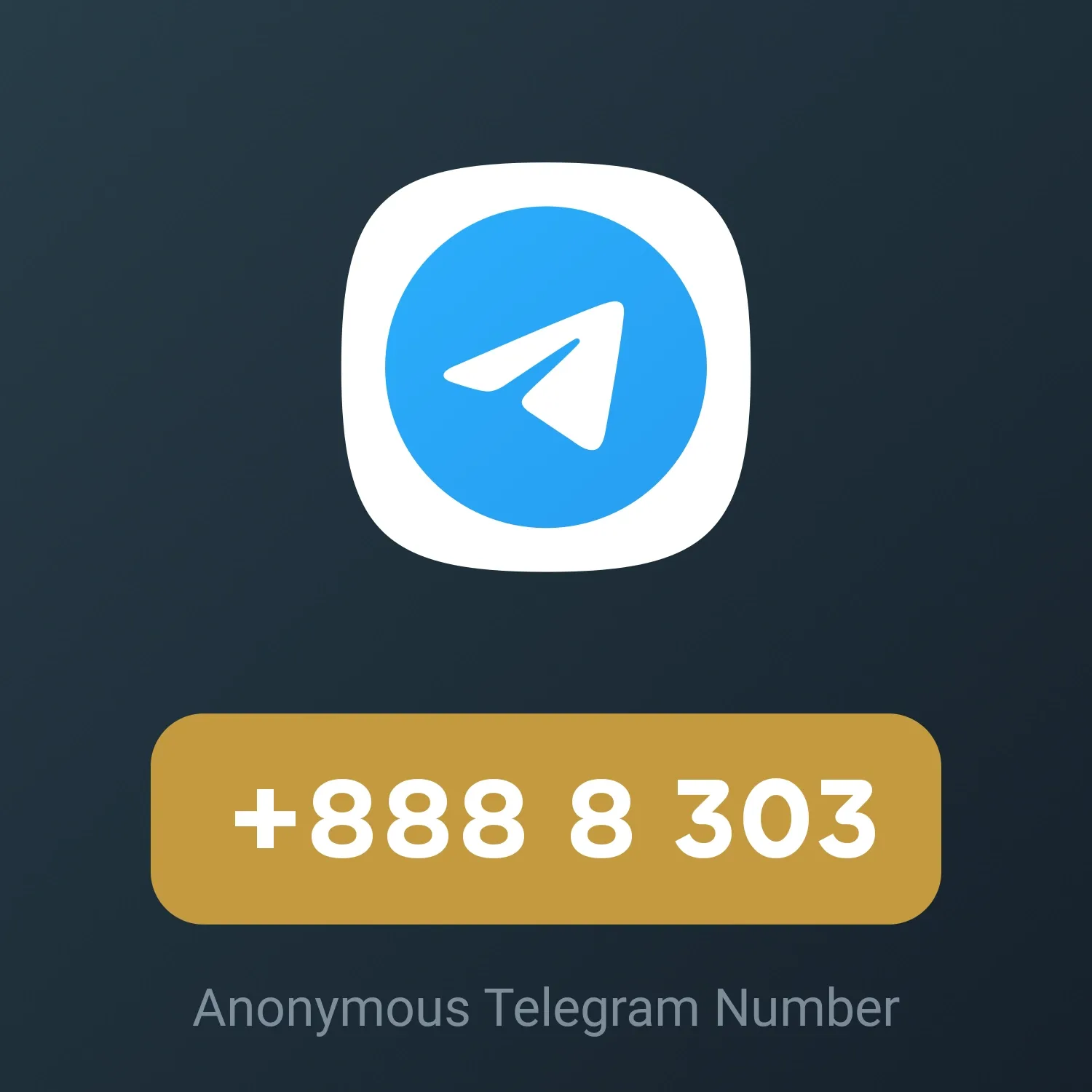 Image of NFT Item +888 8 303
