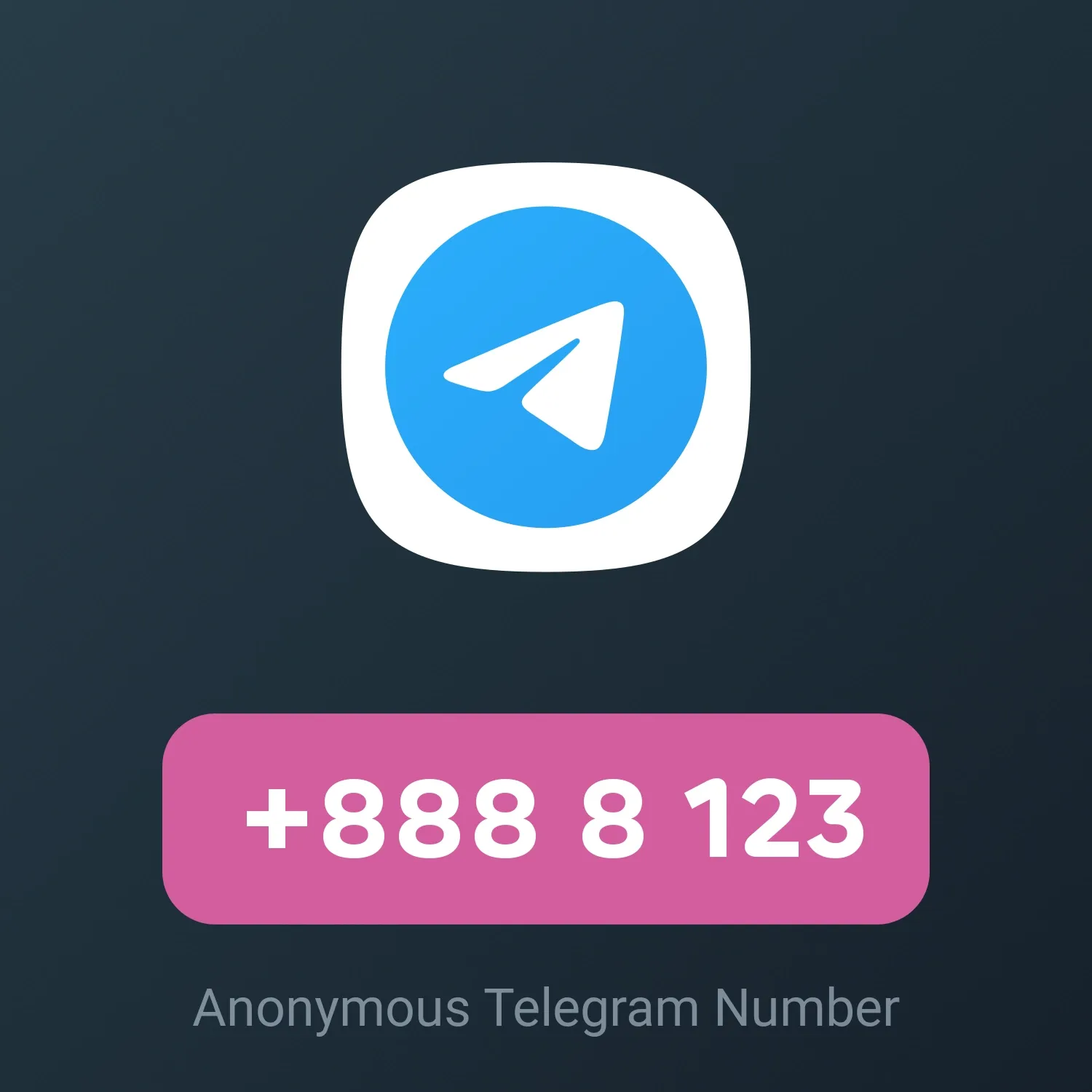 Image of +888 8 123 from Anonymous Telegram Numbers