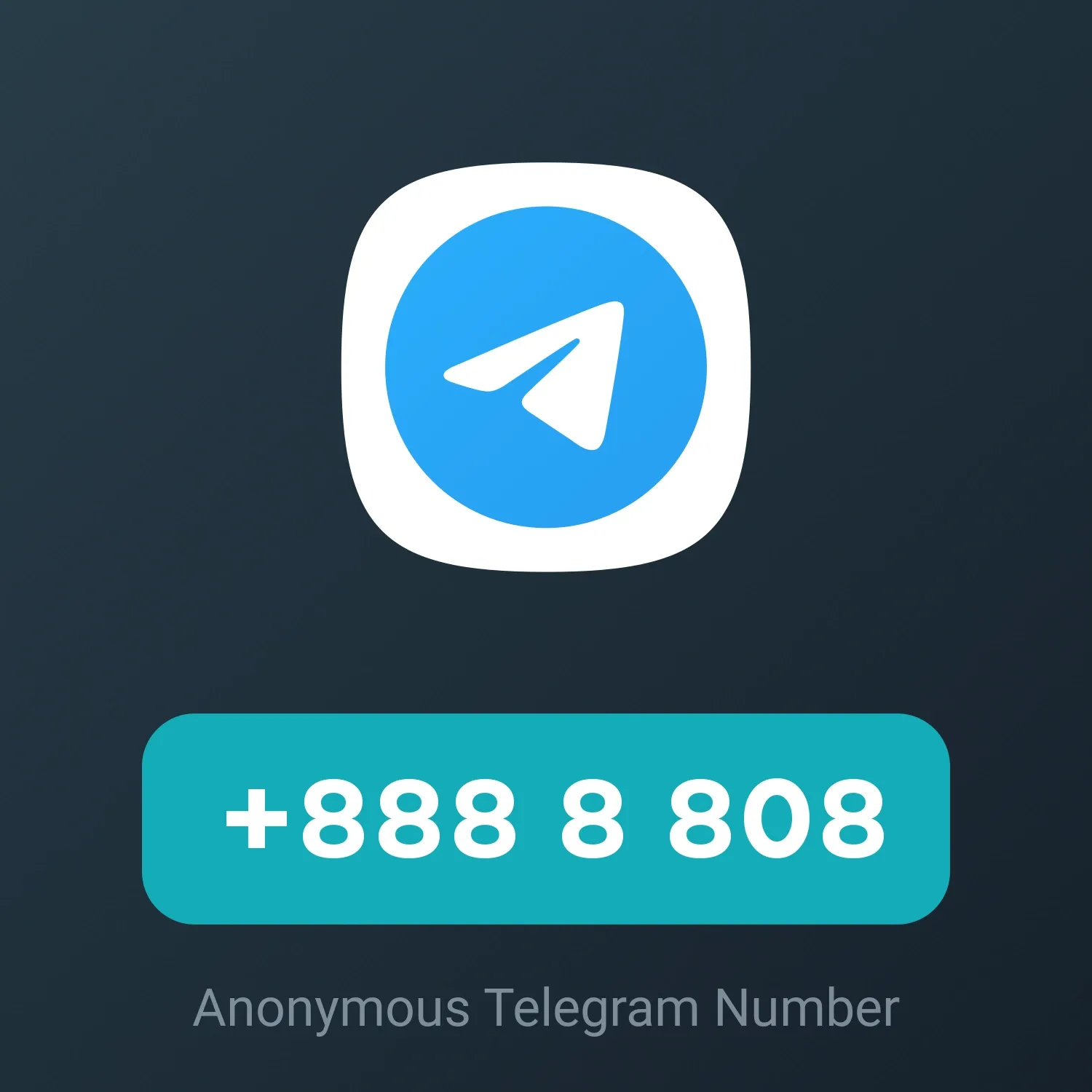 Image of NFT Item +888 8 808