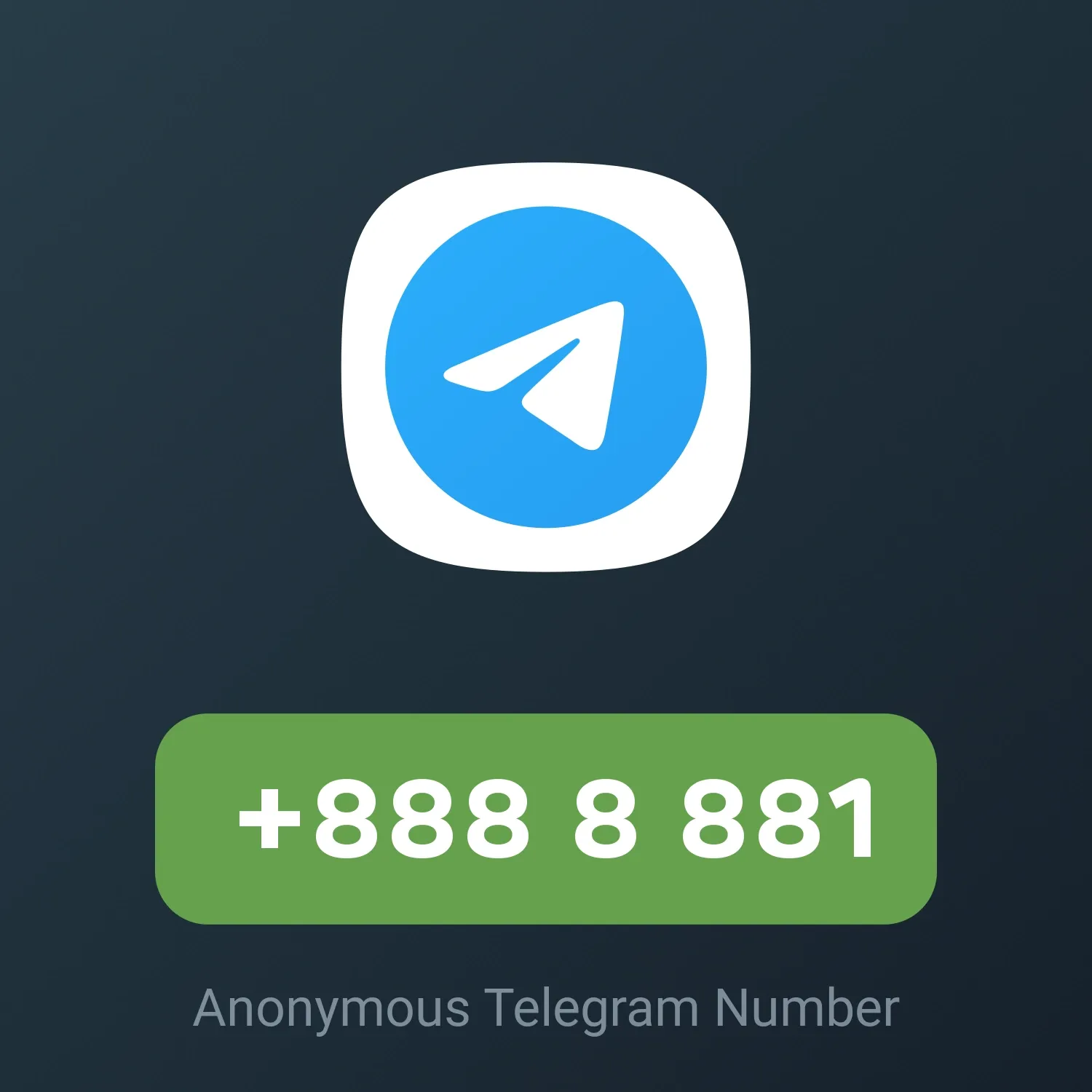 Image of NFT Item +888 8 881