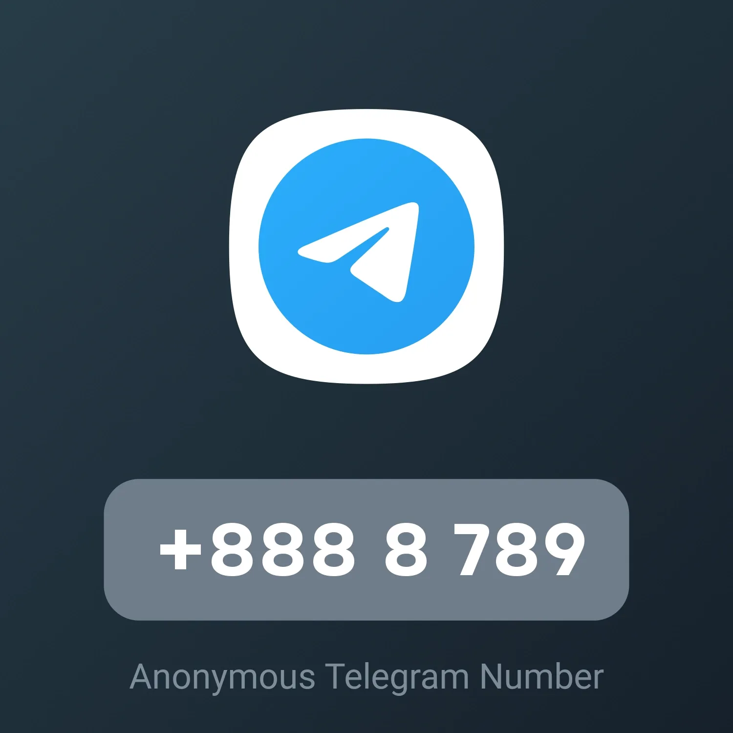 Image of +888 8 789 from Anonymous Telegram Numbers