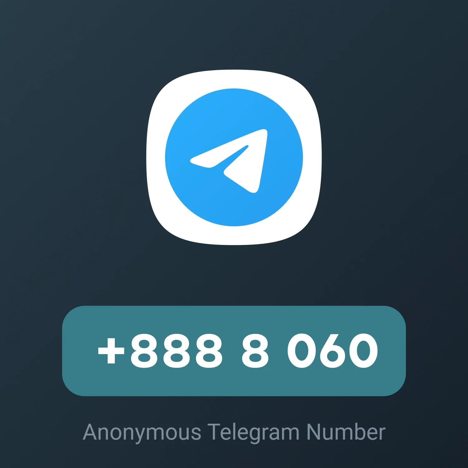 Image of NFT Item +888 8 060