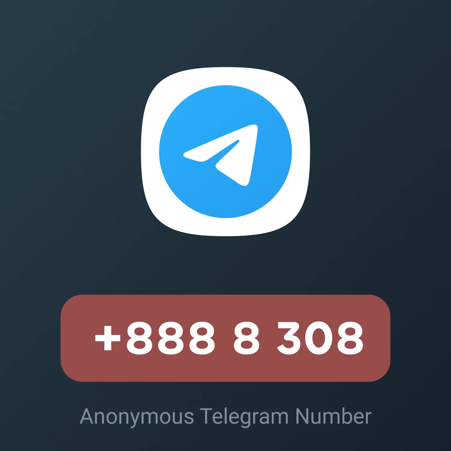 Image of +888 8 308 from Anonymous Telegram Numbers