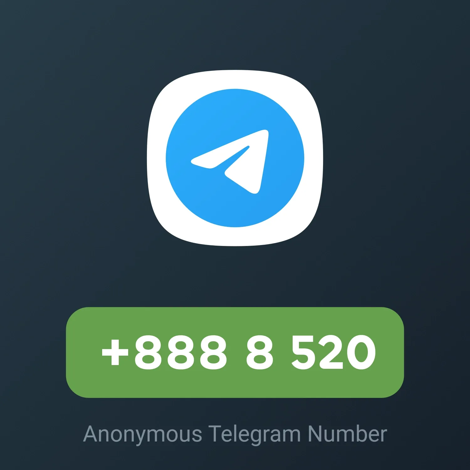 Image of NFT Item +888 8 520