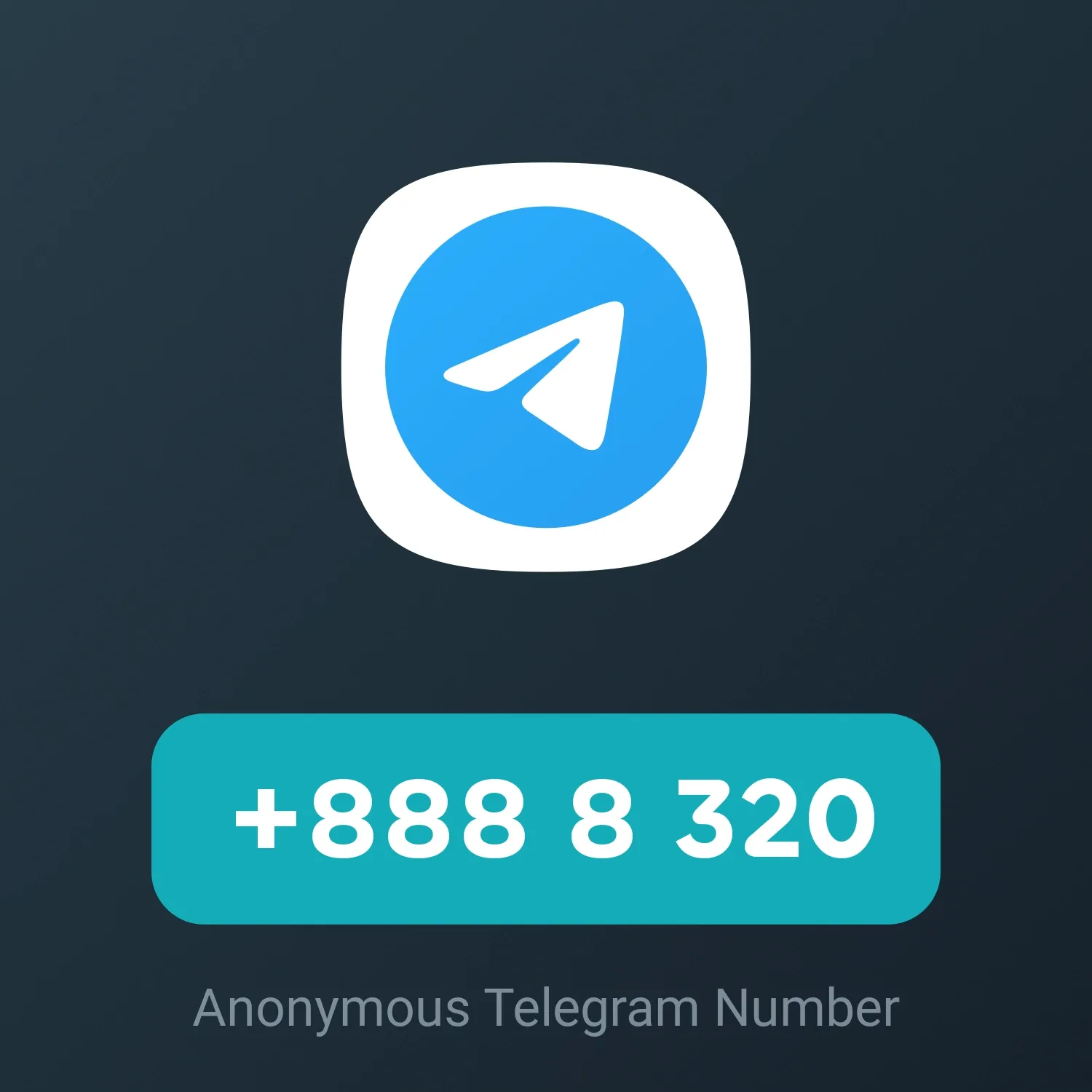 Image of NFT Item +888 8 320
