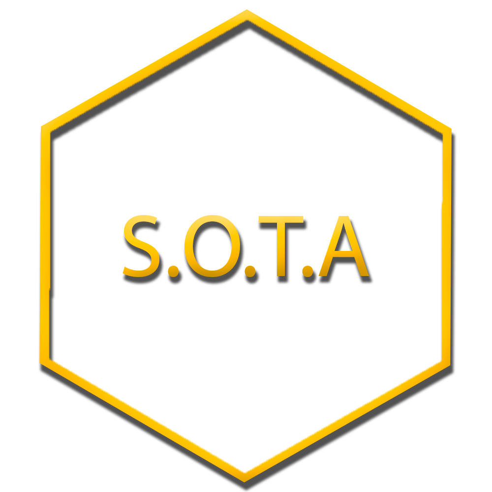 Image of NFT: S.O.T.A
