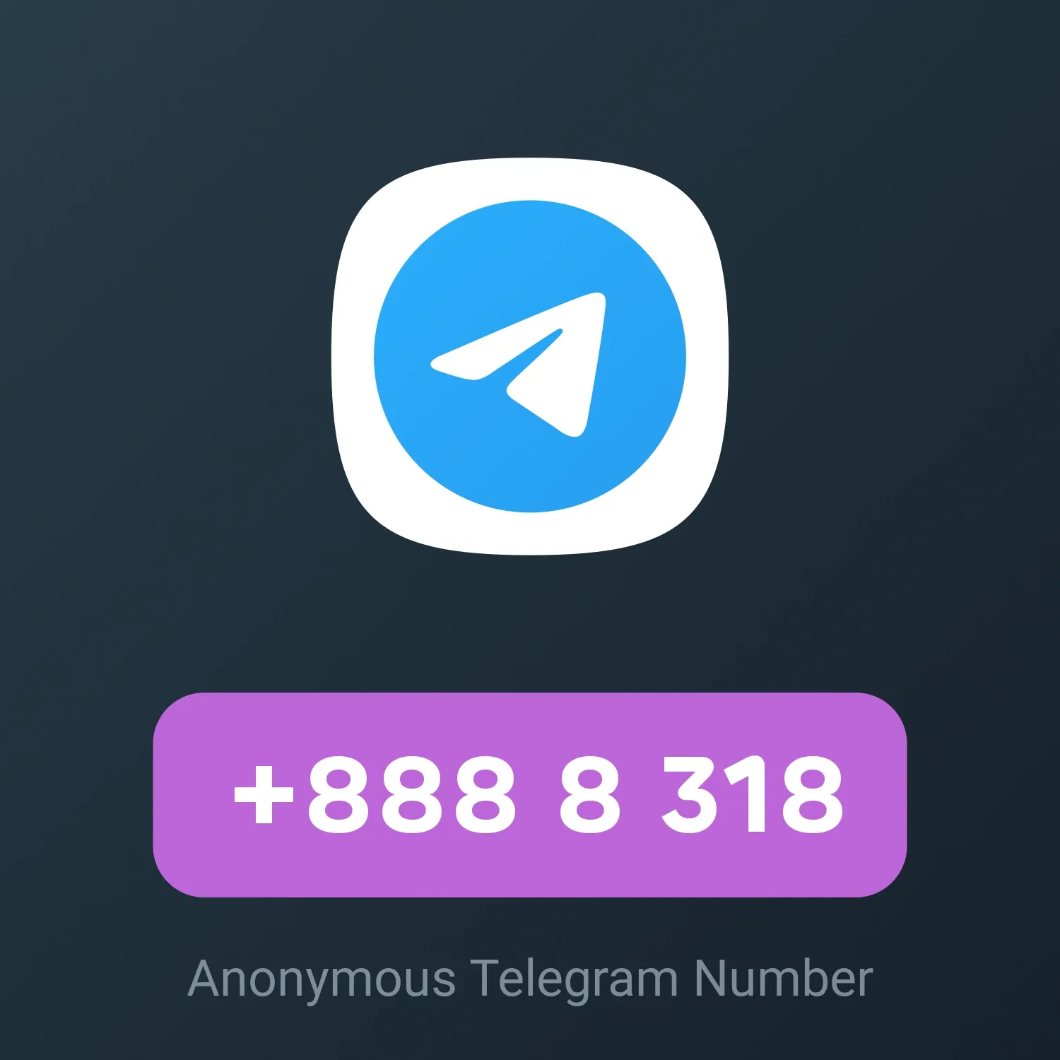 Image of NFT Item +888 8 318