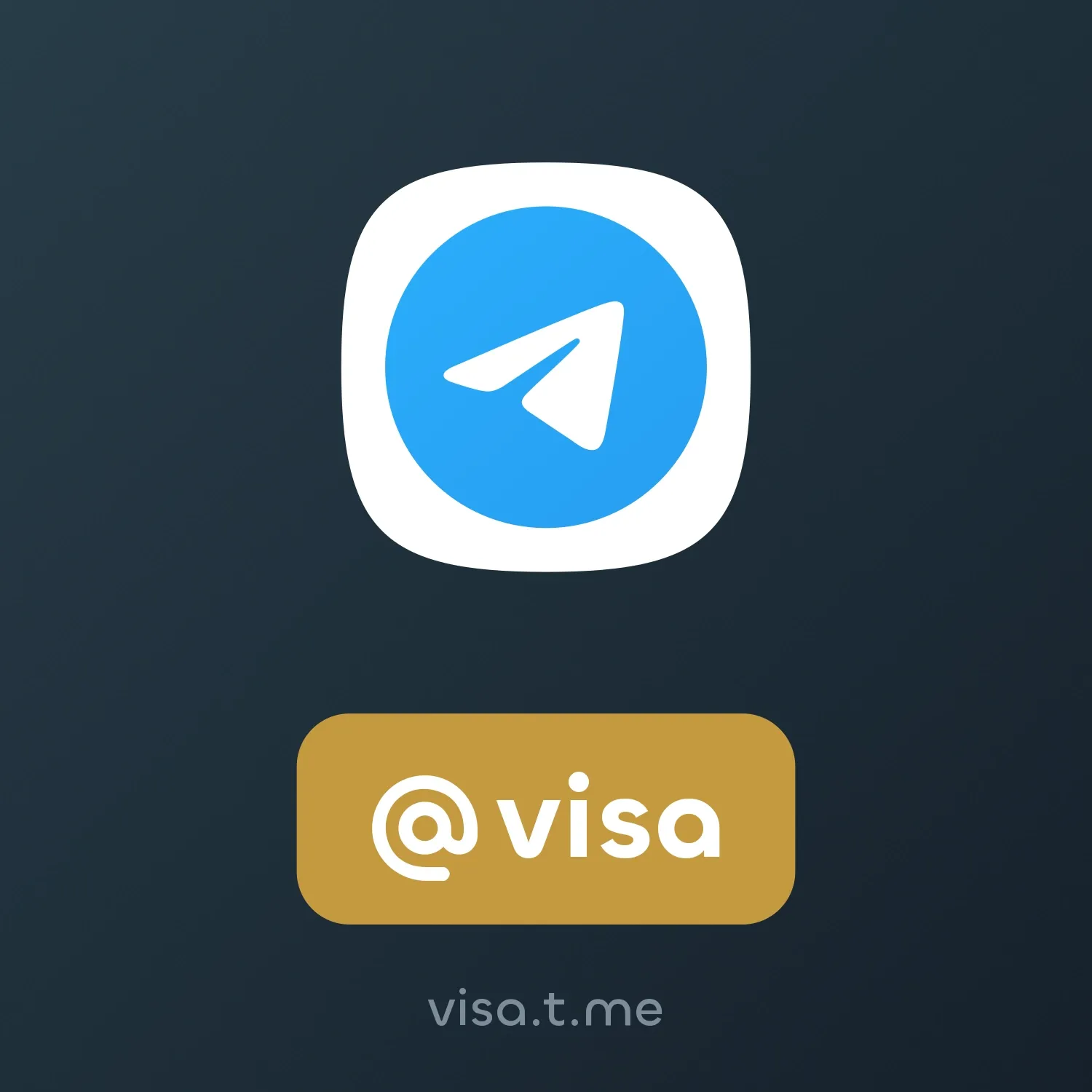 Image of NFT Item @visa