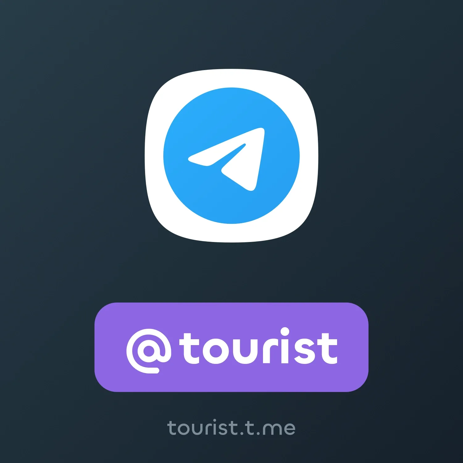 Image of NFT Item @tourist
