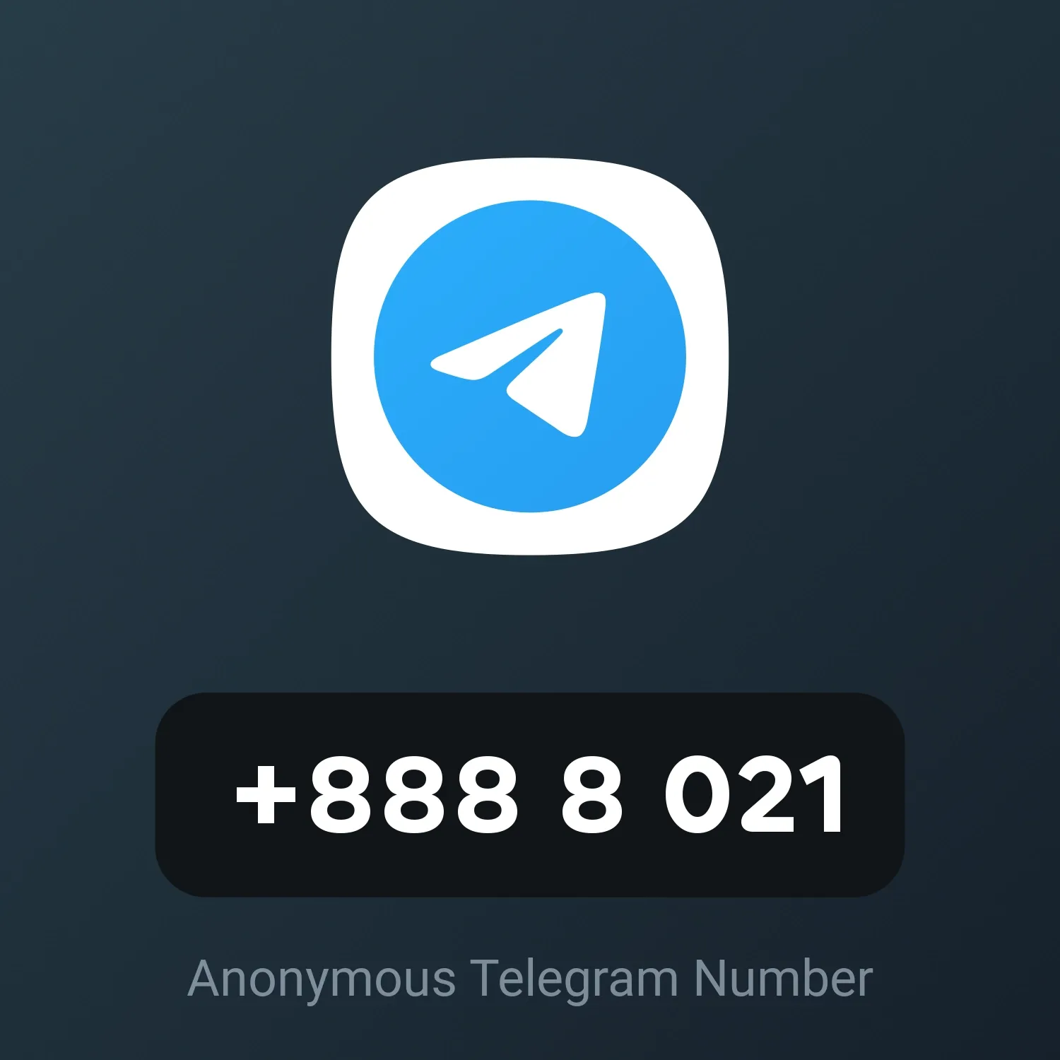 Image of NFT Item +888 8 021