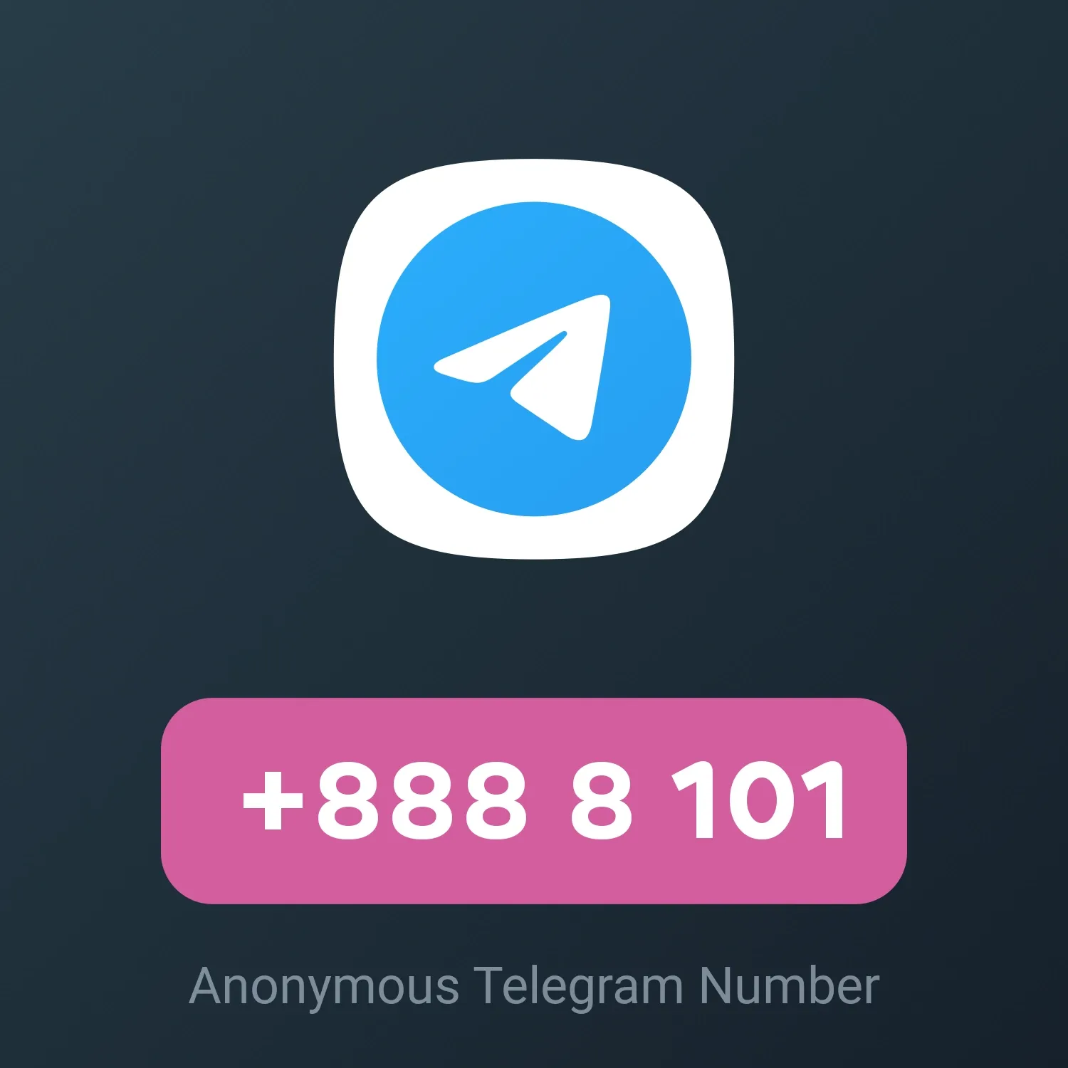Image of NFT Item +888 8 101