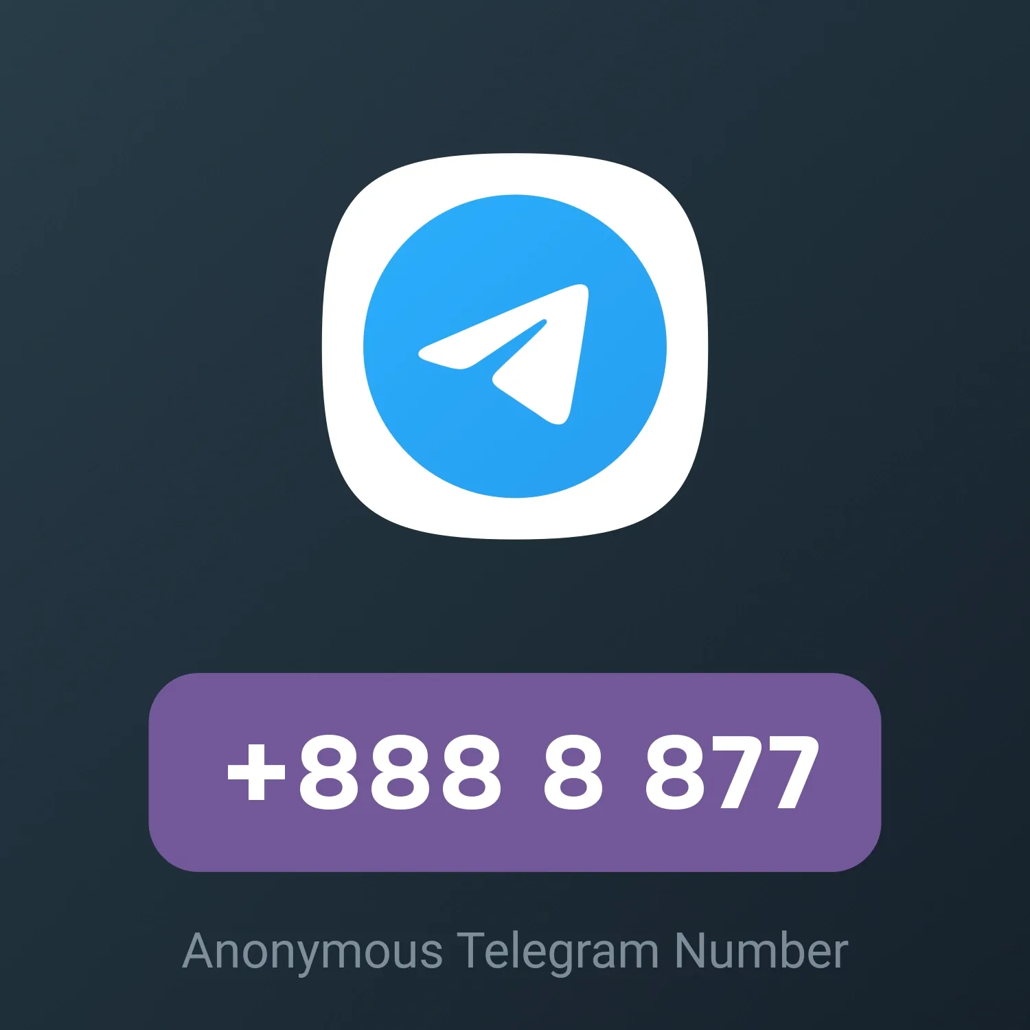 Image of +888 8 877 from Anonymous Telegram Numbers