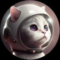 Image of NFT: TON Cat