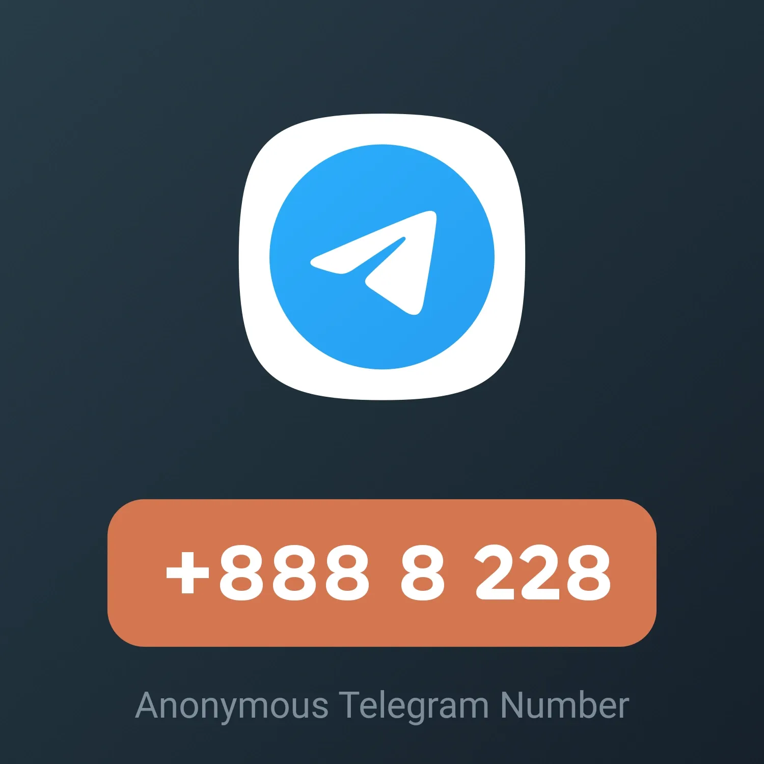 Image of NFT Item +888 8 228
