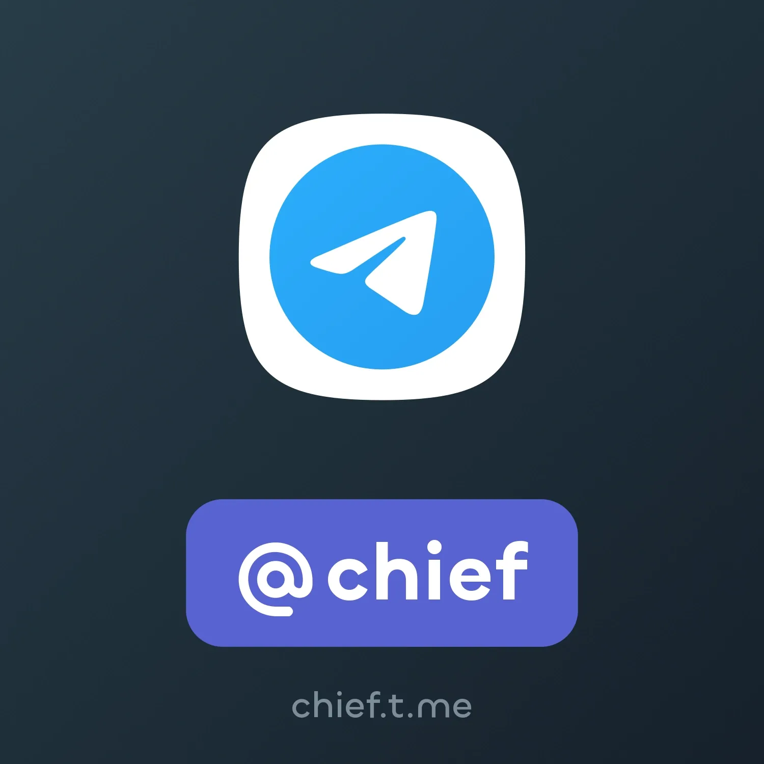 Image of NFT Item @chief