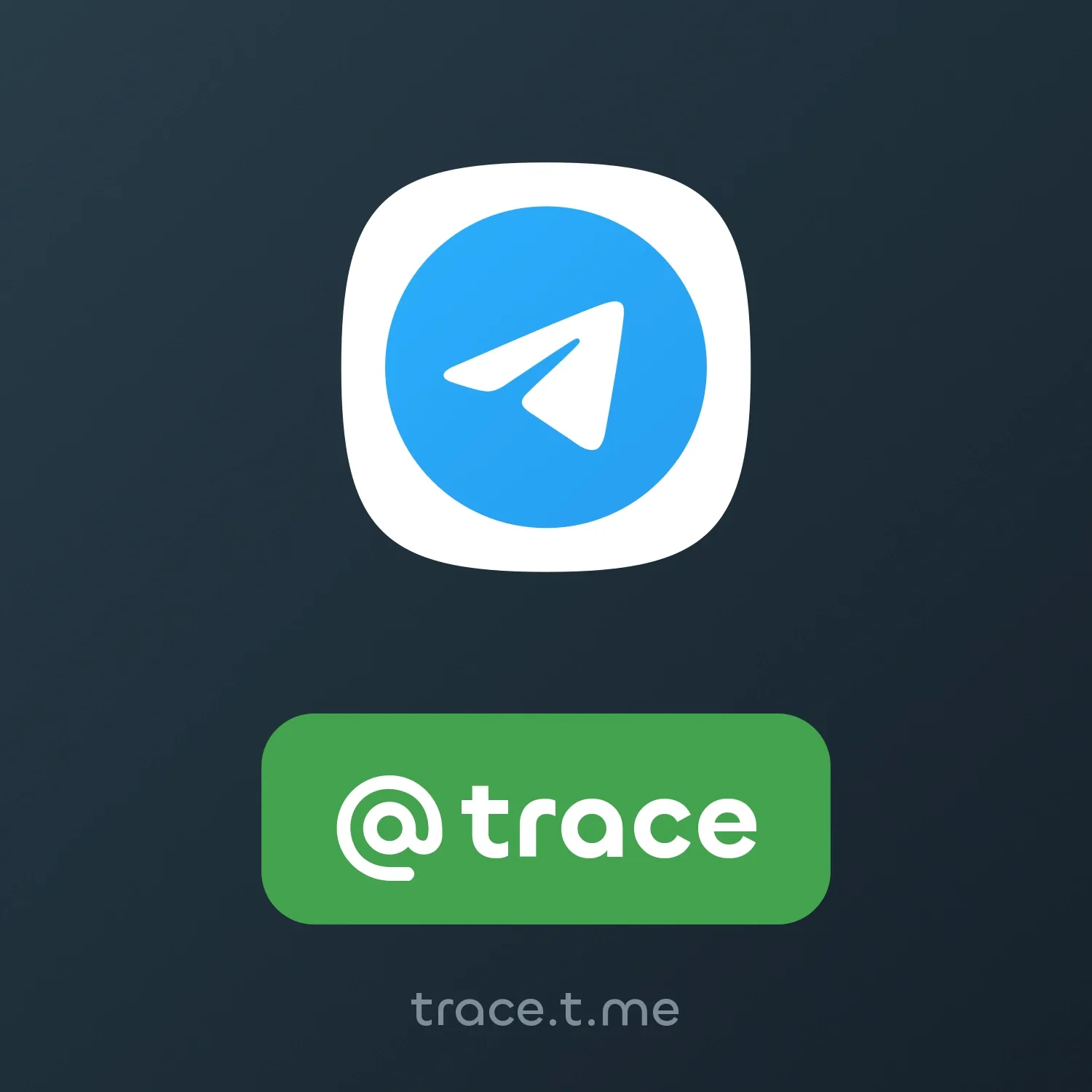 Image of NFT Item @trace