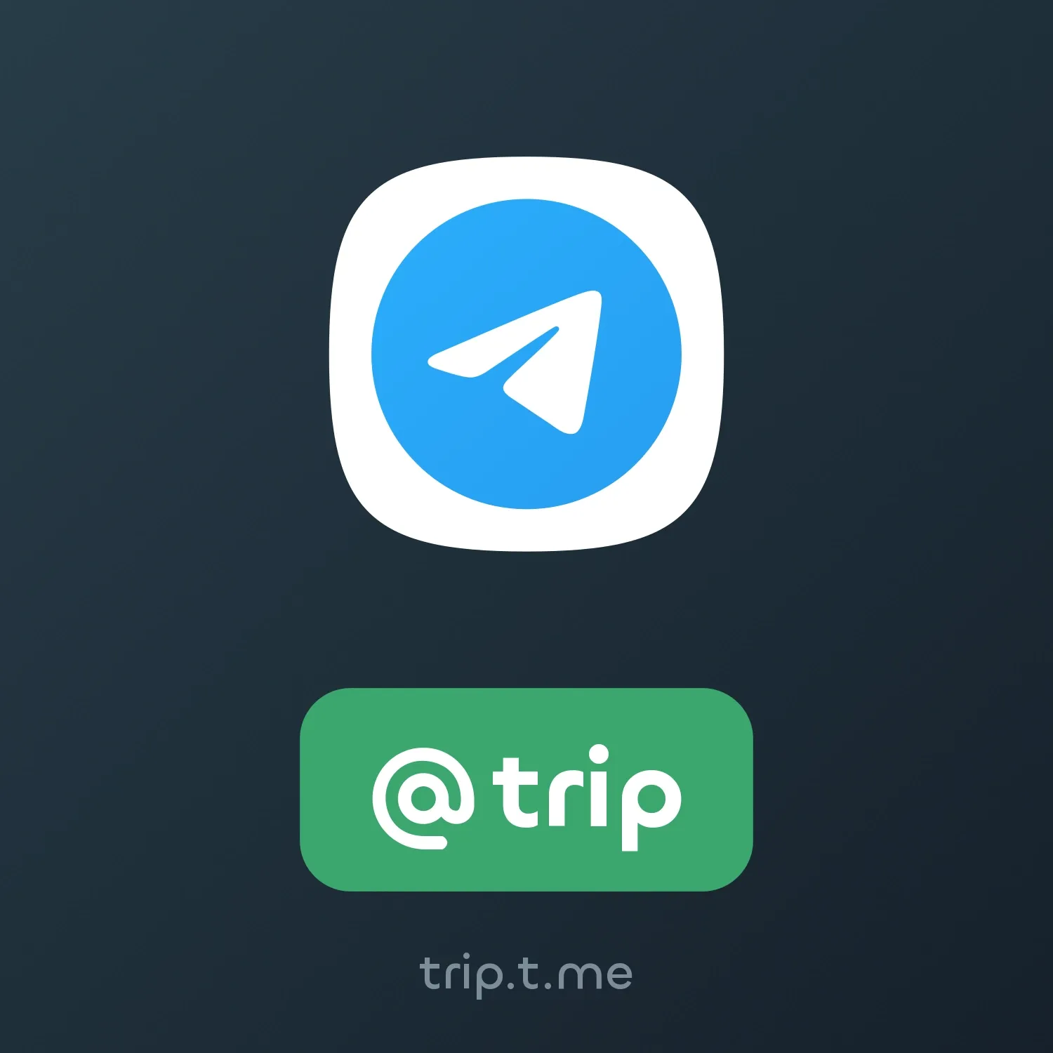 Image of NFT Item @trip