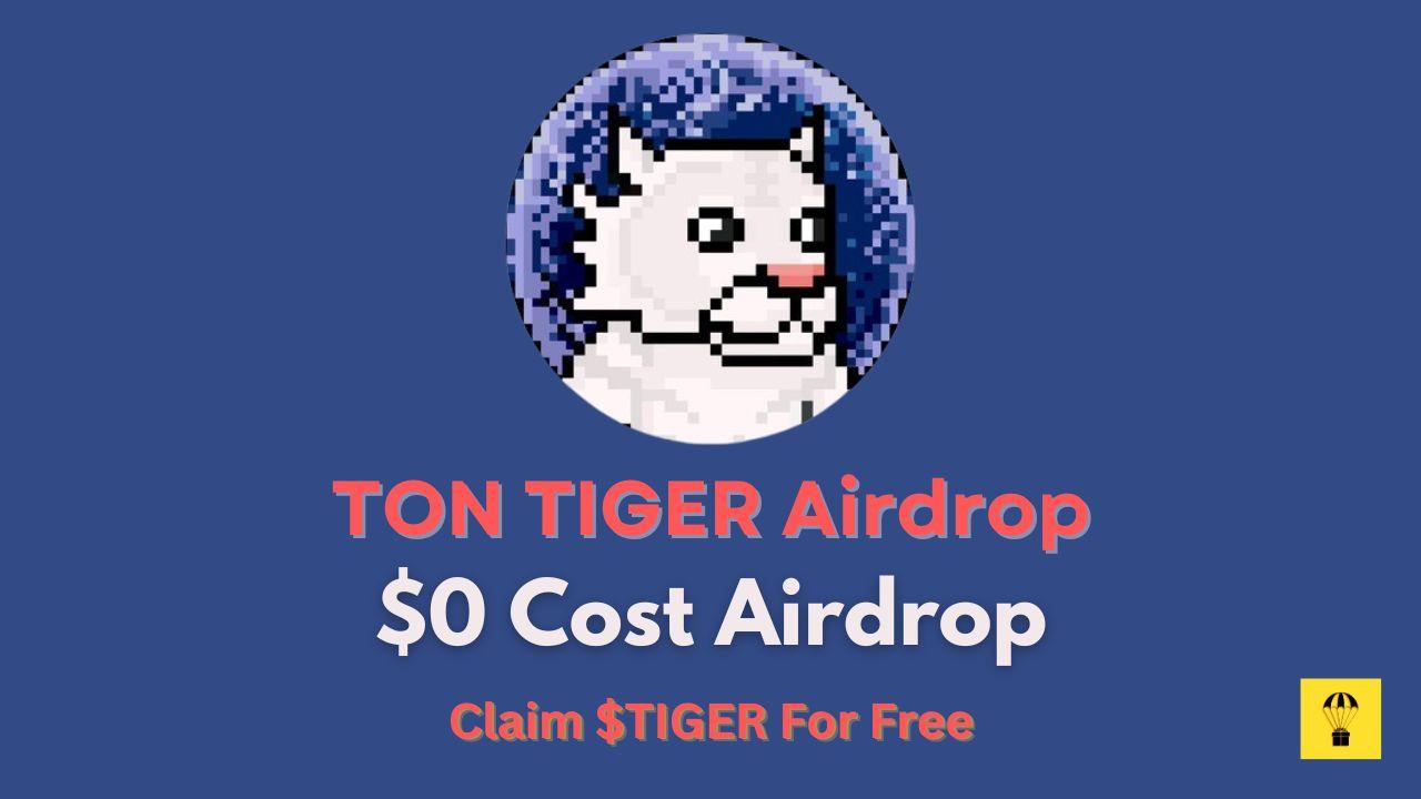 Image of TON TIGERS from TON TIGERS